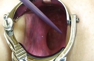 XXX 卵を吸って舐めるバスケットボール選手を広げた 女性 用 無料 アダルト 動画